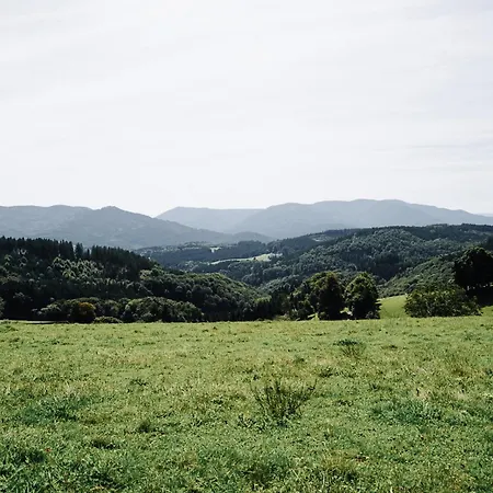 Apartamento Goldtann *