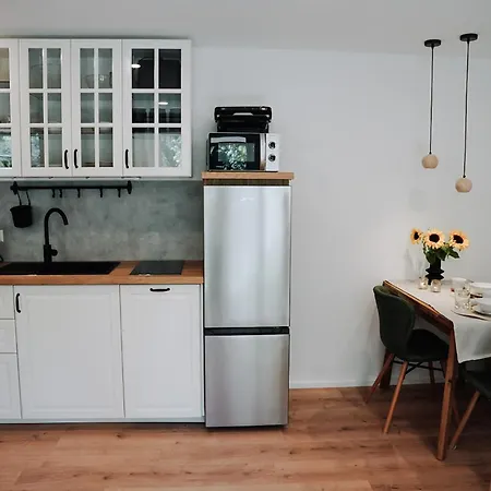 Goldtann Apartamento Elzach