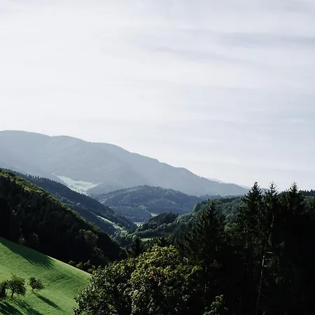 Goldtann Apartamento *