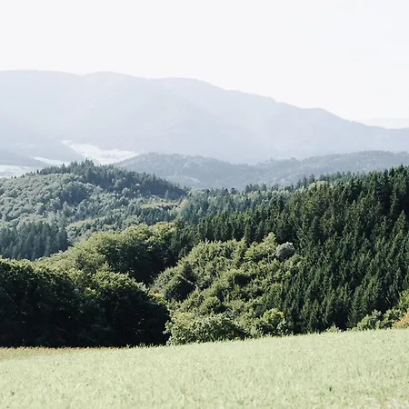 Apartamento Goldtann Elzach